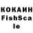 КОКАИН Fish Scale Rudin Fadil