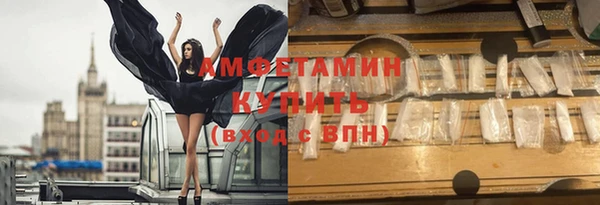 индика Беломорск