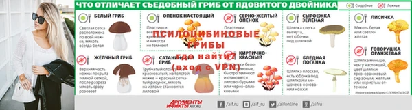 индика Беломорск