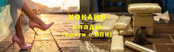 индика Беломорск