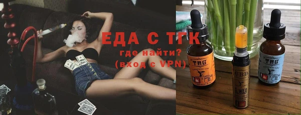 индика Беломорск