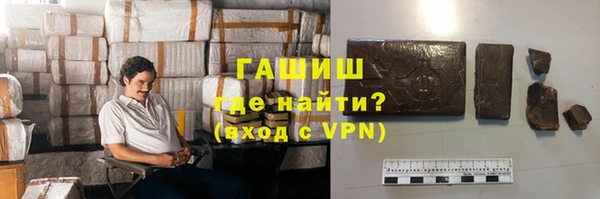индика Беломорск