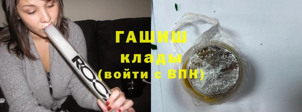 индика Беломорск
