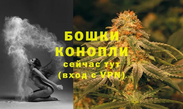 индика Беломорск