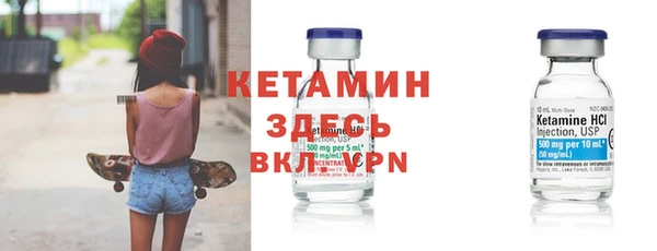 индика Беломорск