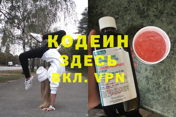 индика Беломорск