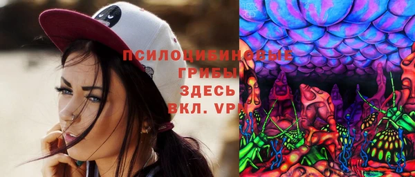 индика Беломорск