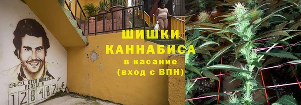 индика Беломорск